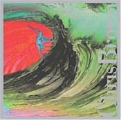 Capa do artigo Rogue Wave - CD