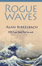 Capa do artigo Rogue Waves