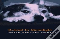 Roland In Moonlight