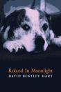 Roland In Moonlight - Preview