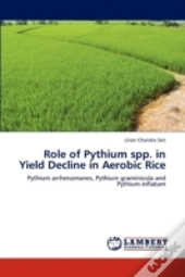 Role Of Pythium Spp. In Yield Decline In Aerobic Rice