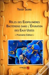 Rôles Des Exopolymères Bactériens Dans L'Épuration Des Eaux Usées ; Première Édition