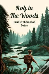 Capa do artigo Rolf In The Woods (Edition2024)
