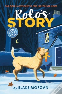 Capa do artigo Rolo'S Story