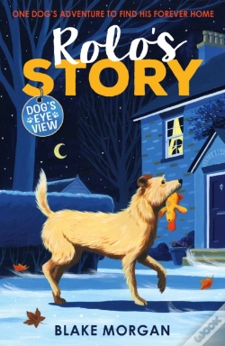 Capa do artigo Rolo'S Story