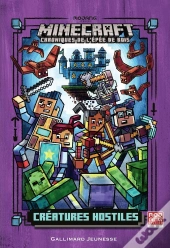 Roman Minecraft T2 (Tp)