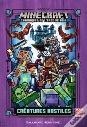 Capa do artigo Roman Minecraft T2 (Tp)