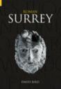Roman Surrey - Preview