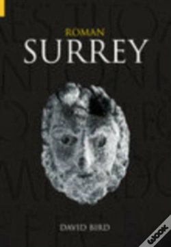 Capa do artigo Roman Surrey