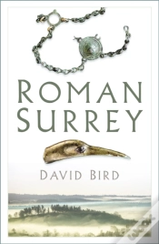 Capa do artigo Roman Surrey