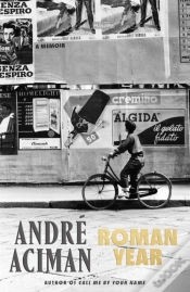 Capa do artigo Roman Year