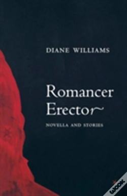 Capa do artigo Romancer Erector