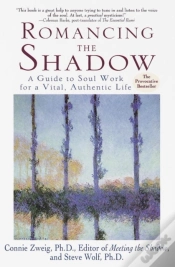 Capa do artigo Romancing The Shadow