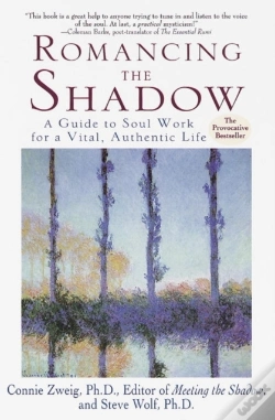 Capa do artigo Romancing The Shadow