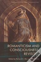 Romanticism And Consciousness, Revisited