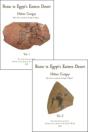 Rome In Egypt'S Eastern Desert - Preview