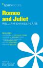 Romeo And Juliet Sparknotes Literature Guide - Preview