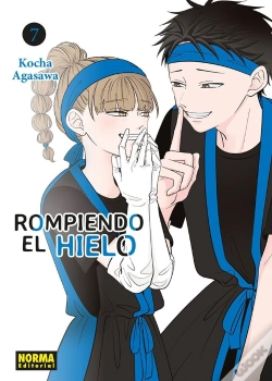 Capa do artigo Rompiendo El Hielo 07