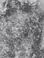 Roni Horn A Dream Not Dreamt /Anglais - Preview