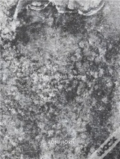 Capa do artigo Roni Horn A Dream Not Dreamt /Anglais
