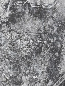 Capa do artigo Roni Horn A Dream Not Dreamt /Anglais