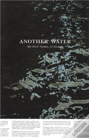 Capa do artigo Roni Horn Another Water /Anglais
