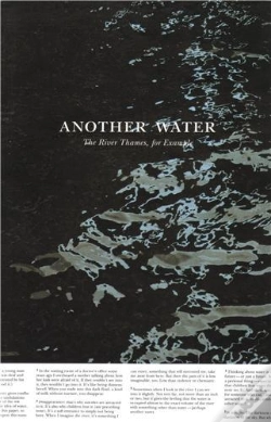 Capa do artigo Roni Horn Another Water /Anglais