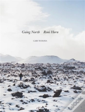 Capa do artigo Roni Horn Going North /Anglais