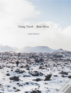 Capa do artigo Roni Horn Going North /Anglais