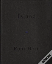 Capa do artigo Roni Horn Haraldsdottir Part 2 /Anglais