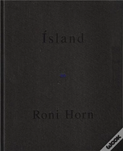 Capa do artigo Roni Horn Haraldsdottir Part 2 /Anglais