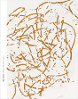 Roni Horn - Preview