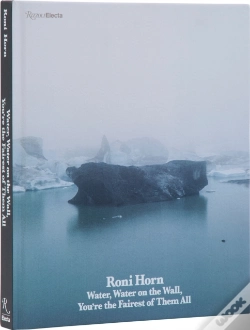 Capa do artigo Roni Horn