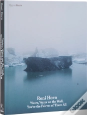 Capa do artigo Roni Horn