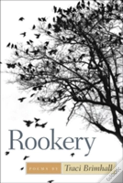 Capa do artigo Rookery