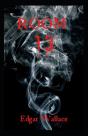 Room 13 Annotated - Preview