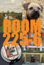 Room 225-6 - Preview