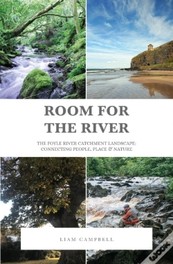 Capa do artigo Room For The River