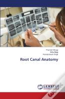 Root Canal Anatomy