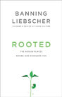 Rooted - Preview