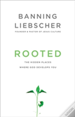 Capa do artigo Rooted
