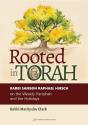 Rooted In Torah - Preview