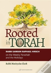 Capa do artigo Rooted In Torah