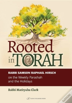 Capa do artigo Rooted In Torah