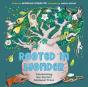 Rooted In Wonder - Preview