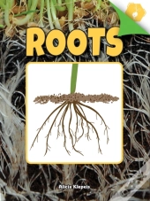 Roots
