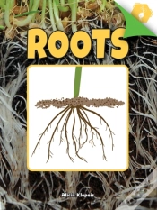 Capa do artigo Roots