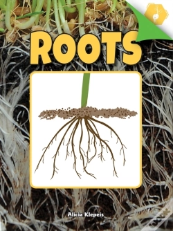 Capa do artigo Roots