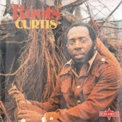 Capa do artigo Roots - CD