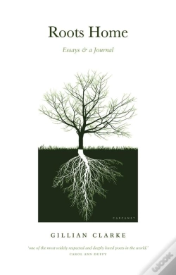 Capa do artigo Roots Home